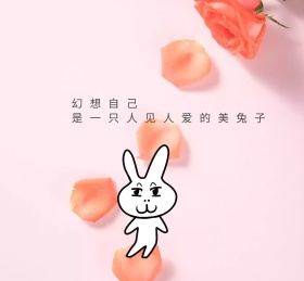 美兔子朋友圈封面
