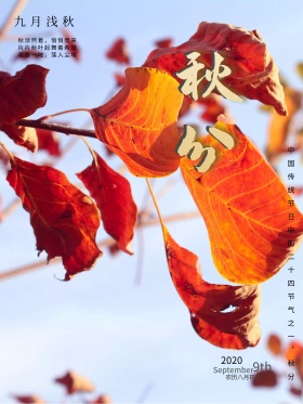 二十四节气之秋分海报