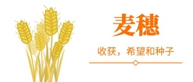 抽象麦穗黄色公众号封面