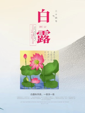 清新简约二十四节气之白露节气海报设计