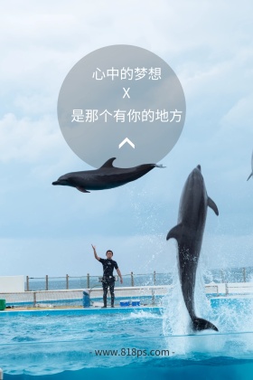 创意小清新手绘插画风海豚梦想公众号配图