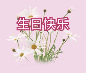 粉红色鲜花生日祝福贺卡