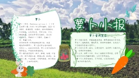 卡通萝卜小报