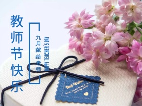 简约欧美风教师节公众号配图模板