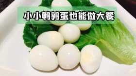 小小鹌鹑蛋也能做大餐公众号封面