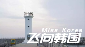 飞向韩国公众号封面