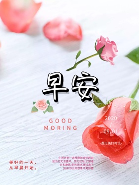 粉色唯美早安晚安红包微博配图