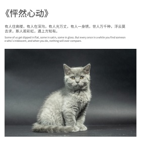 电影台词唯美时尚情感公众号配图