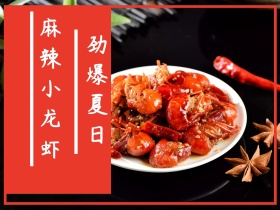 红色摄影小龙虾公众号配图