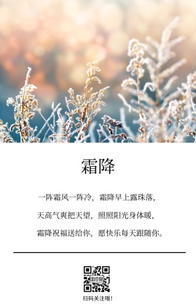 霜降季节节气树文艺简约日签