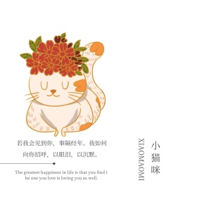 黑白简约文艺可爱小猫公众号配图
