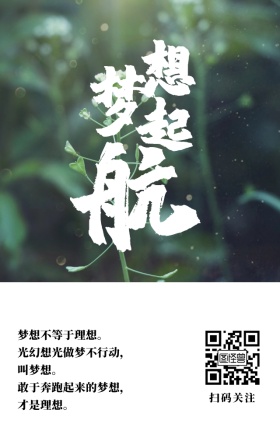 放飞梦想简约励志激励追梦海报