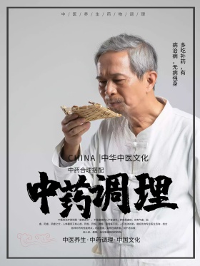 古风中药调理中医养生海报