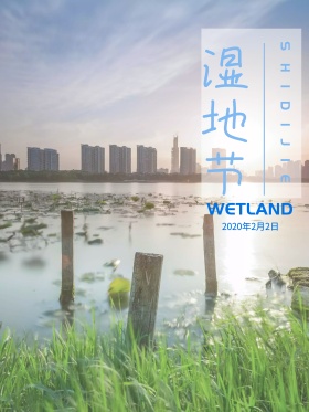 原创插画湿地节节日海报