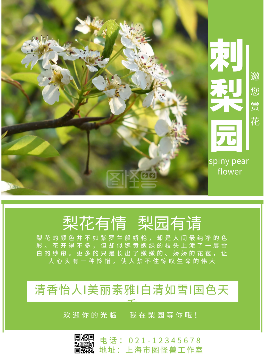刺梨花绿色简约竖版海报