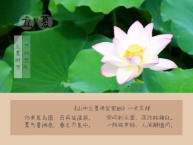 二十四节气立夏浅色荷花公众号封面模版
