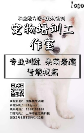 宠物训练营广告宣传日签