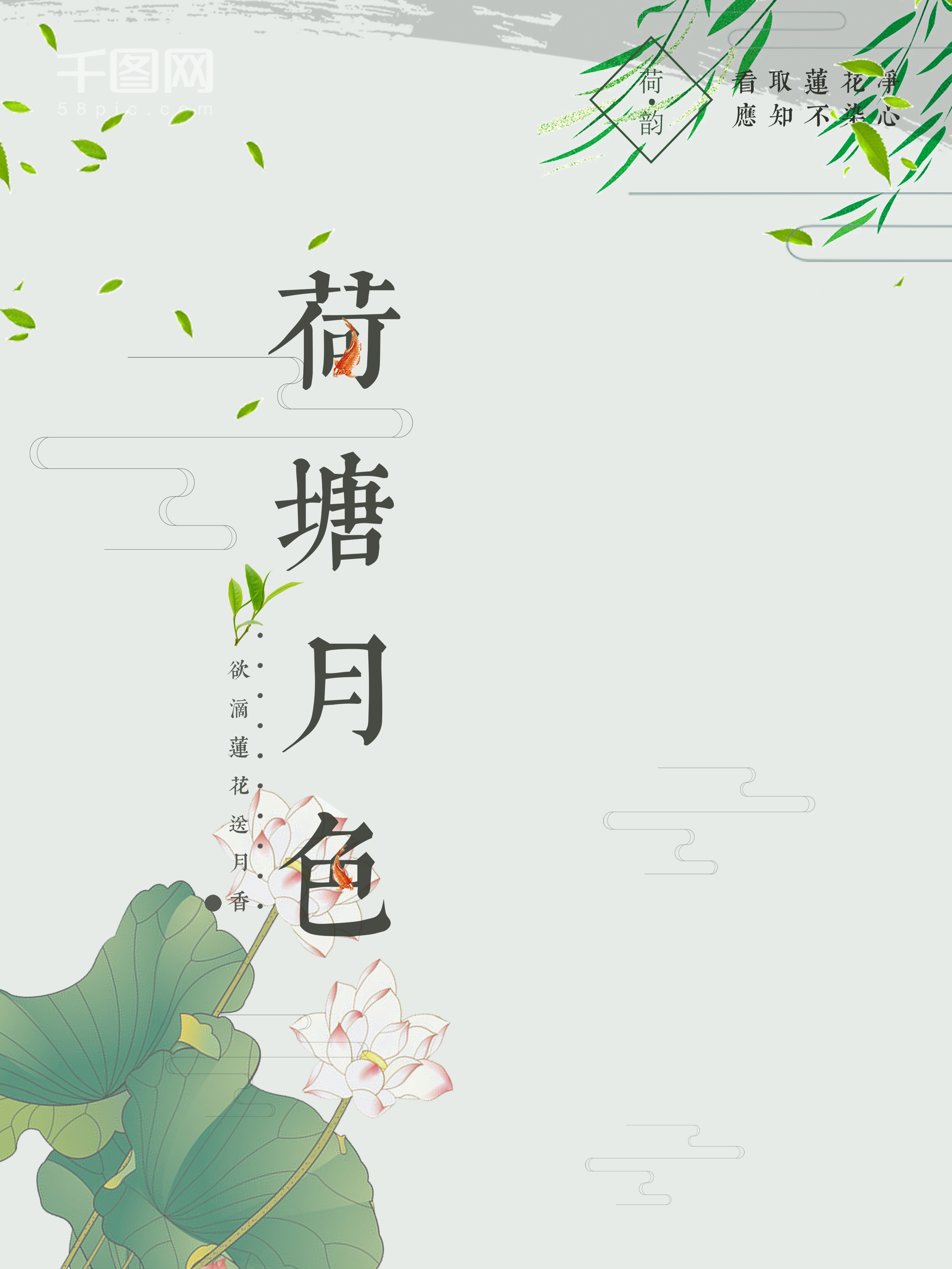 荷花图片
