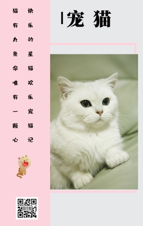 宠猫 猫有九条命唯有一颗心 快乐的星猫欢乐宠猫记 卡通宠物猫之日可爱手机海报