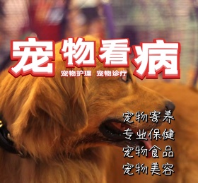 萌宠宠物可爱动物朋友圈封面