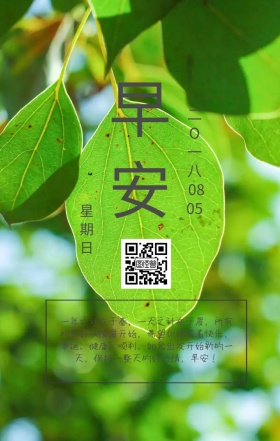 早安简约摄影日签海报