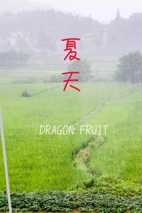 夏天粉色红包公众号配图