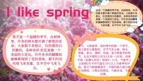 I like spring宣传海报