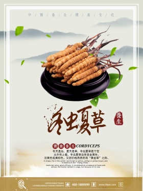 虫草补品养生品食物促销海报设计
