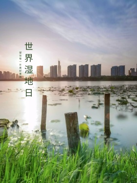 原创插画绿色小清新湿地节湿地日卡通海报