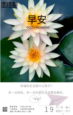 荷花早安日签 