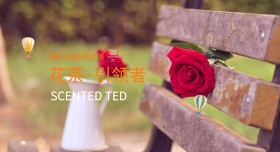 花茶与都市比邻促销海报