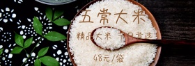 五常大米吃货日棕白黄banner图片
