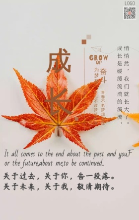 青春成长励志正能量手机海报