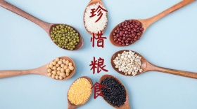 珍惜粮食节约面包谷物公众号封面模版