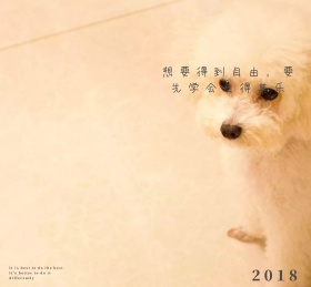 ai绘画二次元动物治愈温馨朋友圈封面图