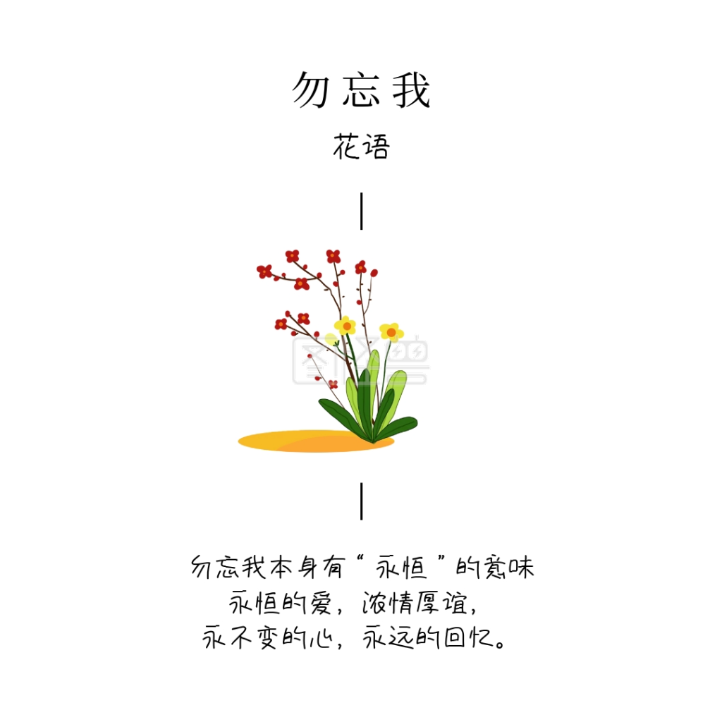 勿忘我花语简介白色方形配图