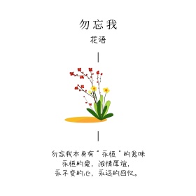 勿忘我花语简介白色方形配图