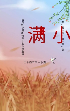 小满中国传统节日黄色简约手机海报