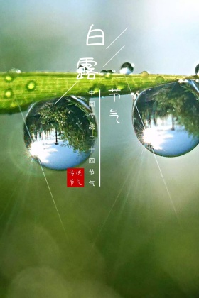 白露中国传统节气简约公众号配图