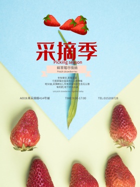 夏季草莓采摘宣传海报