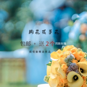 韩式新娘婚礼结婚手捧花球拍照包邮淘宝主图