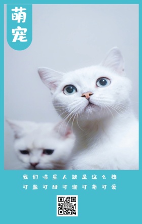 萌宠 我们喵星人就是这么拽 可盐可甜可潮可萌可爱 卡通宠物猫之日可爱手机海报