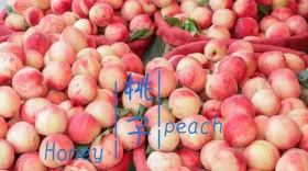 蜜桃宣传创意简约公众号封面模版