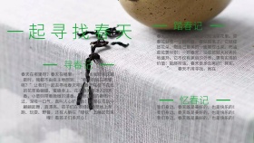 一起寻找春天手抄报