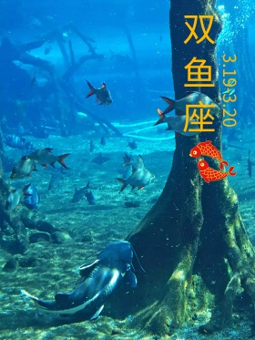 原创插画双鱼座手绘海报