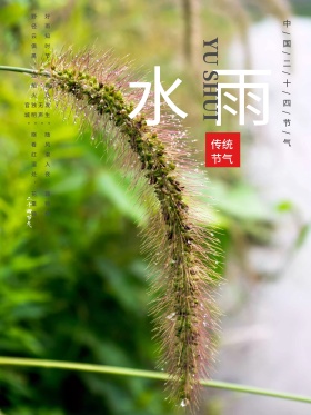 雨水节气清新创意海报PSD模板