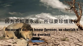 因为不知道永远，所以要珍惜现在