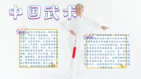 卡通扁平创意中国武术手抄报海报