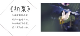 夏日荷花水墨风情公众号特殊首图