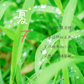 夏天节气小满绿色公众号配图